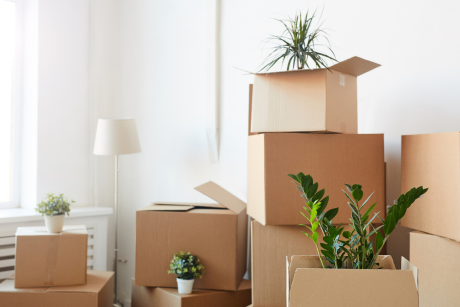 move in move out cleaning